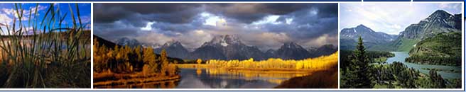 Idaho Trout Processors Company